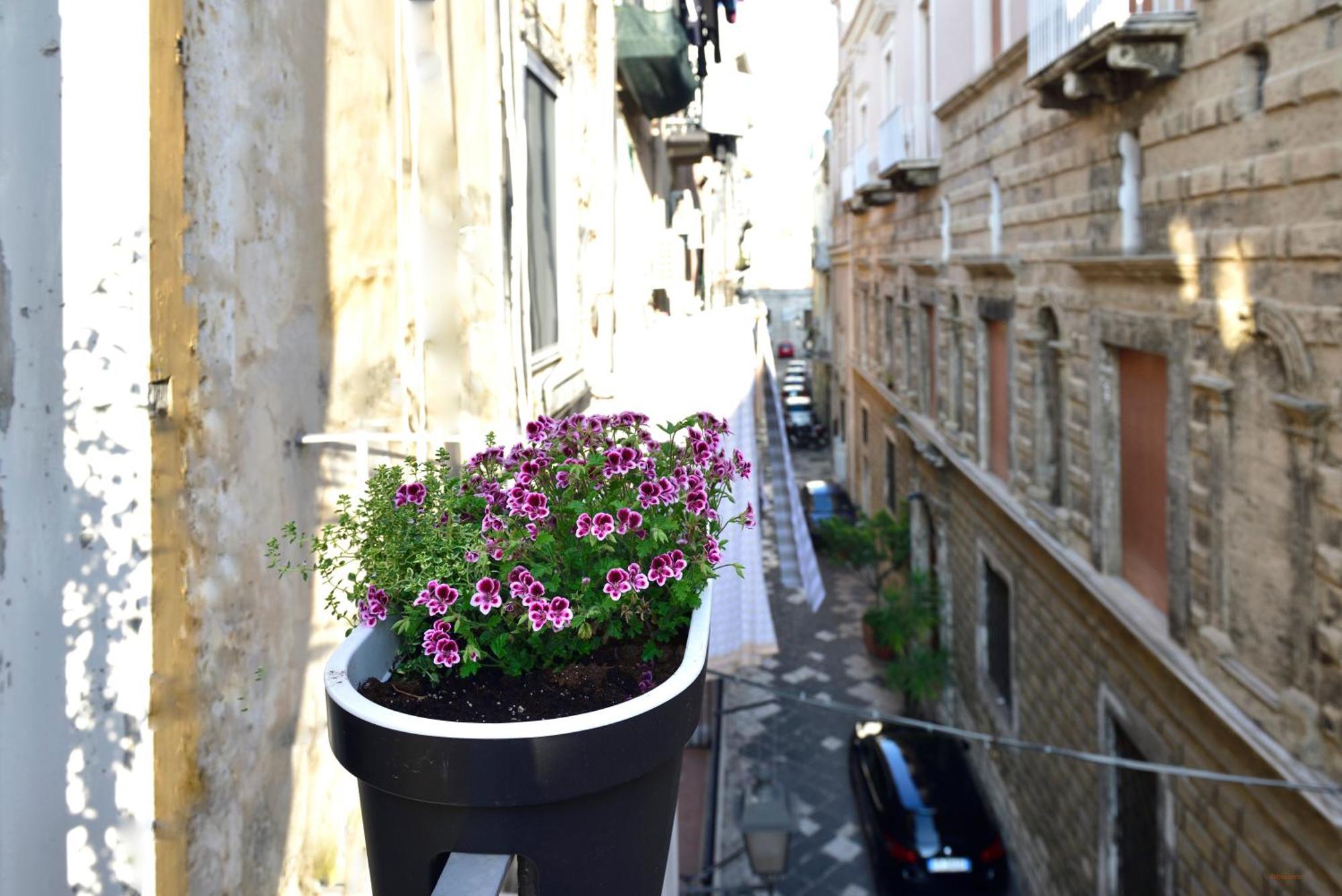 Ciaobari Apartment - Elegant 4 Bedrooms In The Heart Of Old Town Buitenkant foto